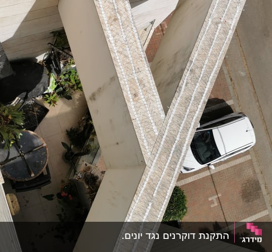 דוקרנים נגד יונים על קירות בניין